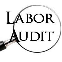 Labour Audit