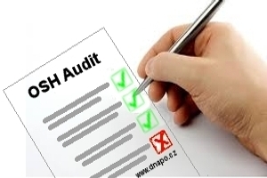 Audit